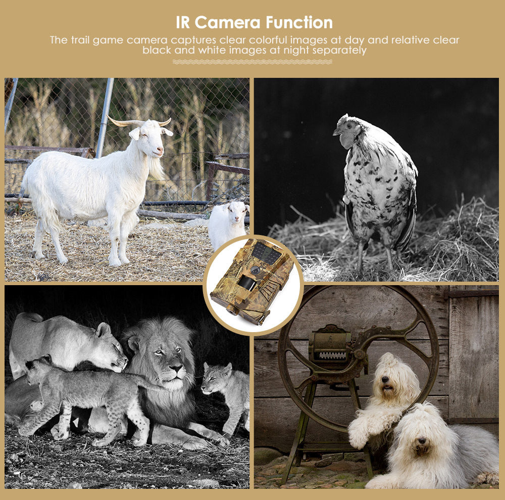 Forest Orchard Surveillance Camera - HD Wireless Anti-Theft